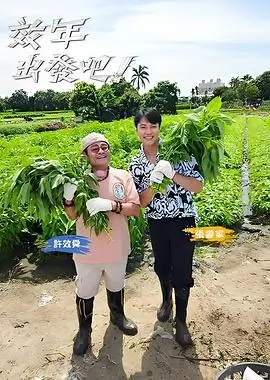 厨神对战夜 综艺在线观看
